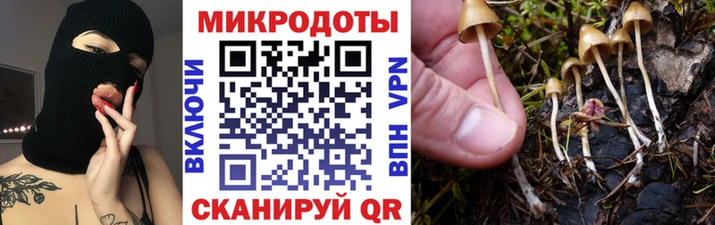 Псилоцибиновые грибы MAGIC MUSHROOMS Микунь